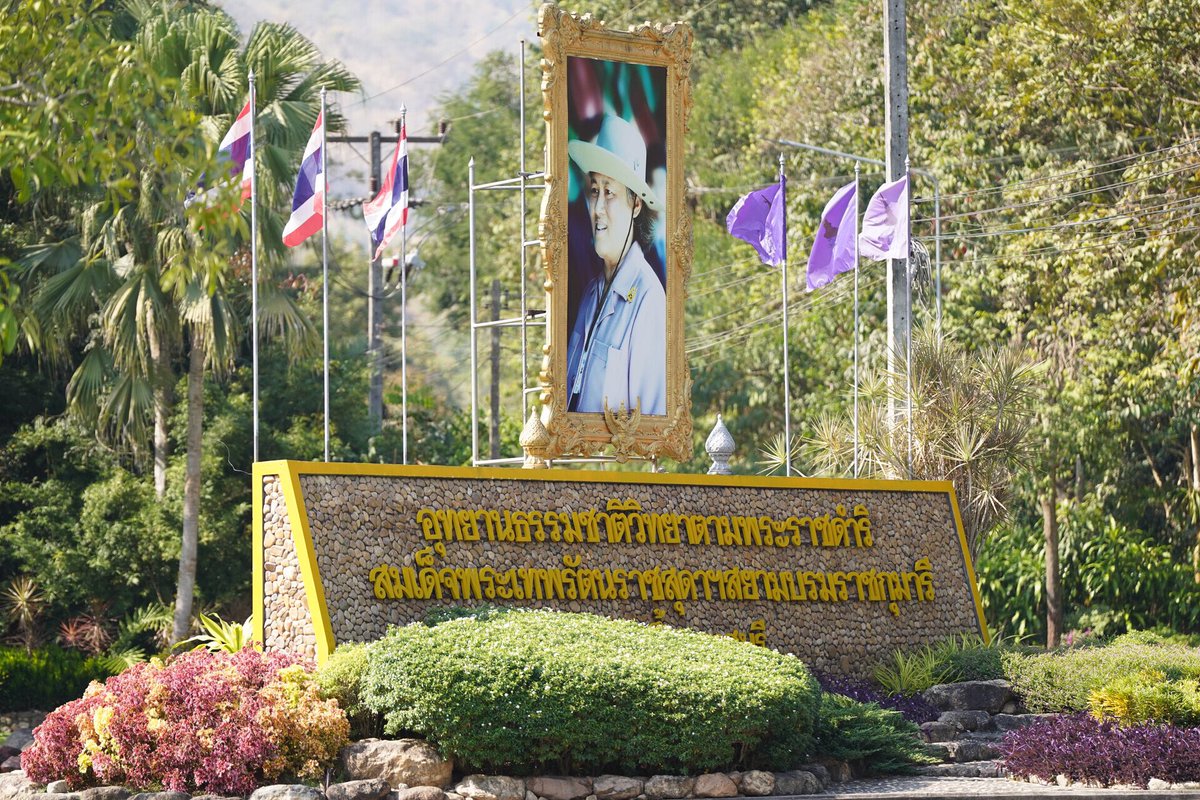 Biodiversity is Our Life (@thbiodiversity) on Twitter photo อุทยานธรรมชาติวิทยาตามพระราชดำริ สมเด็จพระเทพรัตน์ฯ 🙏🙏🙏
HARMONY WITH NATURE
#LoveNatureWithGulf
<a href="/gulfkanawut/">gulfkanawut</a> อุทยานธรรมชาติวิทยาตามพระราชดำริ สมเด็จพระเทพรัตน์ฯ 🙏🙏🙏
HARMONY WITH NATURE
#LoveNatureWithGulf
<a href="/gulfkanawut/">gulfkanawut</a>