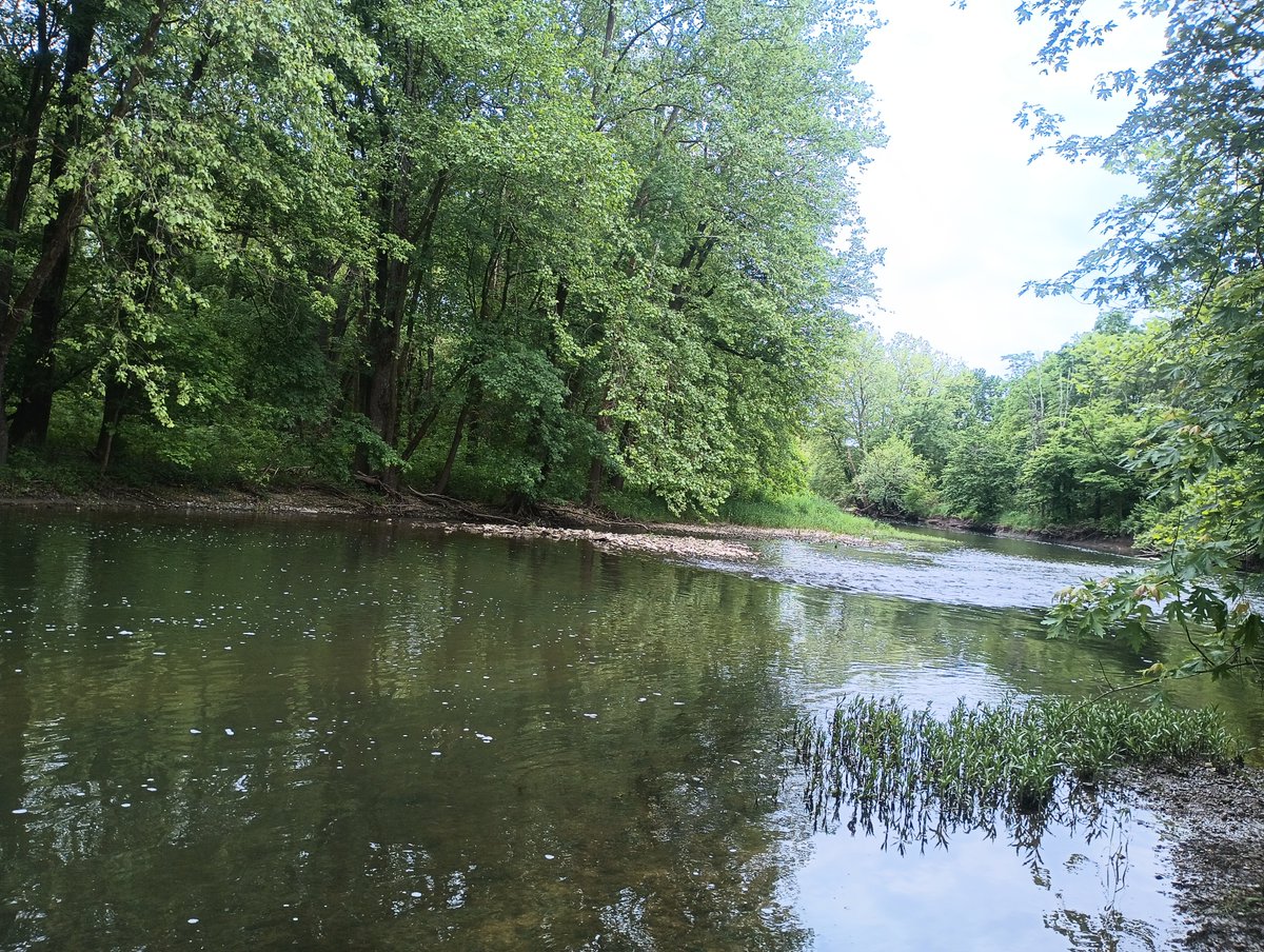 LadyVHS's tweet image. New fishing spot. You can't swim here, but if I 'wade' and fall over, that's cool right? 😏🖤✌️

#GoOutside #Nature