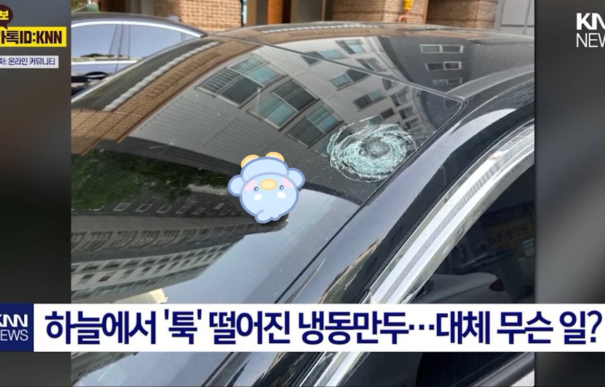 다들 외출하실 때 만두 조심하세요