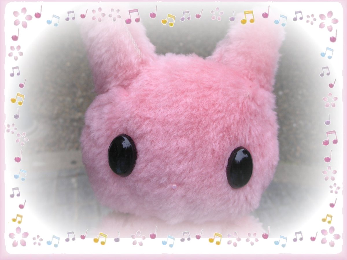 ピンキーポップ (@lily_chou_cho_u) on Twitter photo 