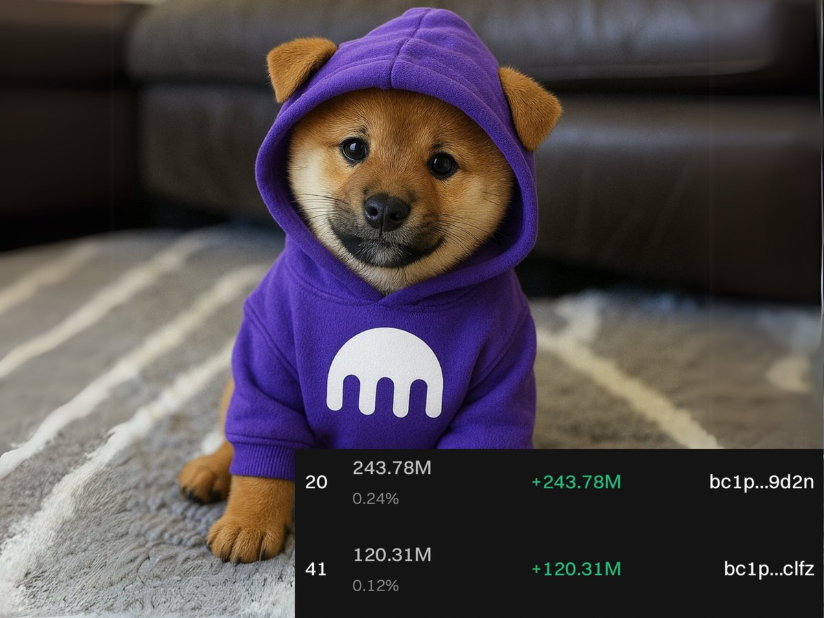 ❗️❗️BREAKING ❗️❗️

🚨2 NEW WALLETS SURGED ON THE TOP 100 $DOG HOLDERS TODAY🚨

They acquire 243,78 | 120,31 millions of $DOG tokens (≈USD$1,334,416.18 | USD$658,537.98 ) and became the 20° | 41°largest token holders. 

2 Million Dollars 💵👀

<a href="/krakenfx/">Kraken Exchange</a> effect? 🁠

The Wallets: