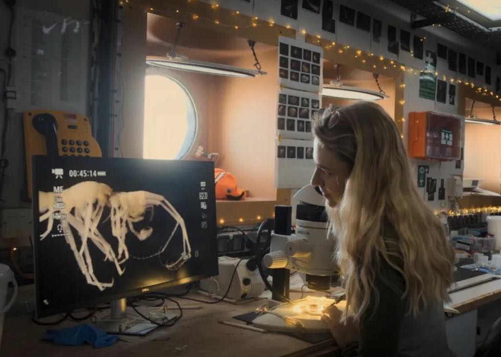 E/V Nautilus (@evnautilus) on Twitter photo Today's #InstagramTakeover comes from Science Team member and @oceansus representative Eva Stewart from <a href="/NHM_London/">Natural History Museum</a> and <a href="/unisouthampton/">University of Southampton</a> who studies the systematics, ecology, and evolution of invertebrates across the deep-ocean floor. Today's #InstagramTakeover comes from Science Team member and @oceansus representative Eva Stewart from <a href="/NHM_London/">Natural History Museum</a> and <a href="/unisouthampton/">University of Southampton</a> who studies the systematics, ecology, and evolution of invertebrates across the deep-ocean floor.