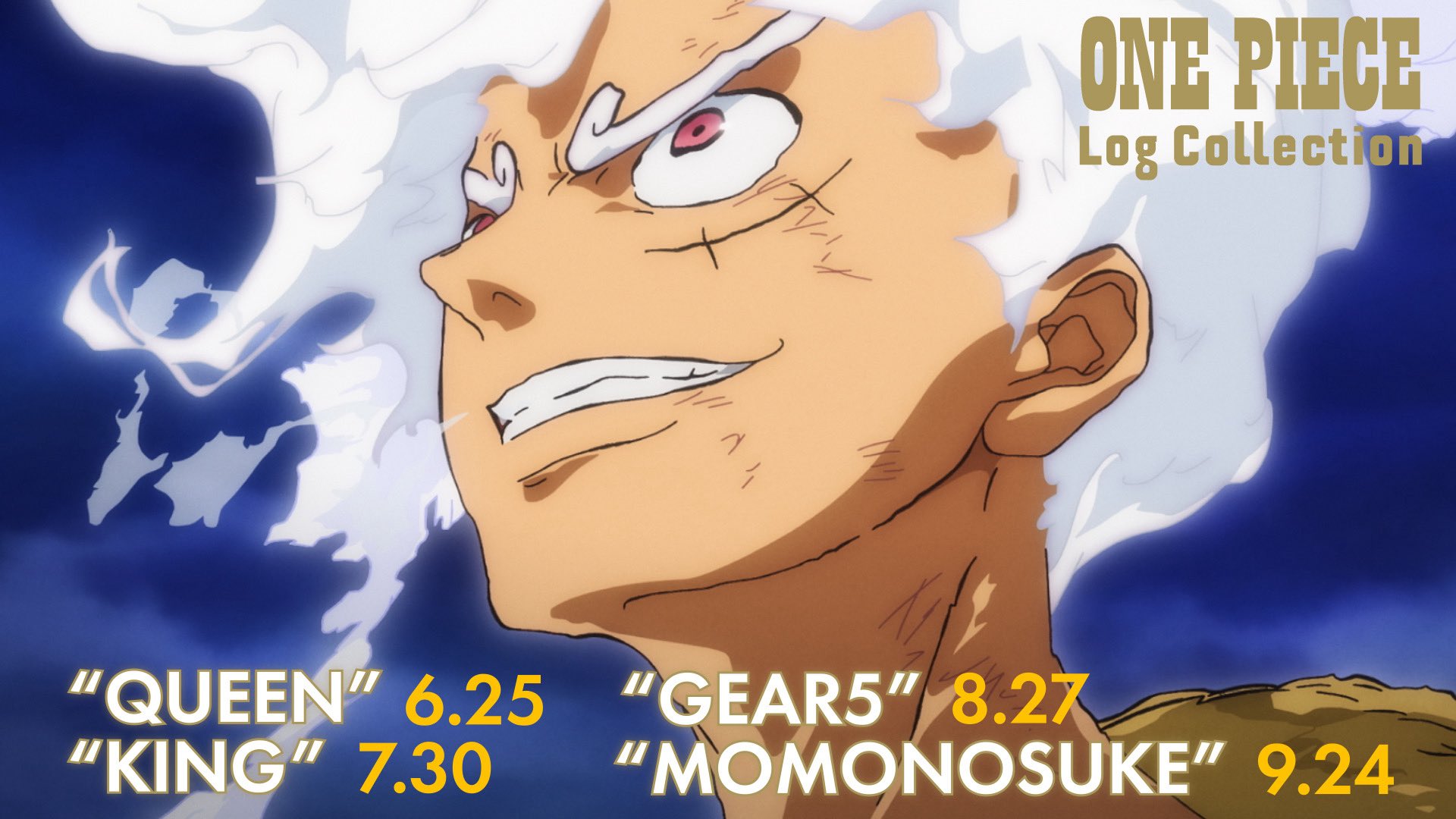 PRODUCTS | 「ONE PIECE ワンピース」DVD公式サイト
