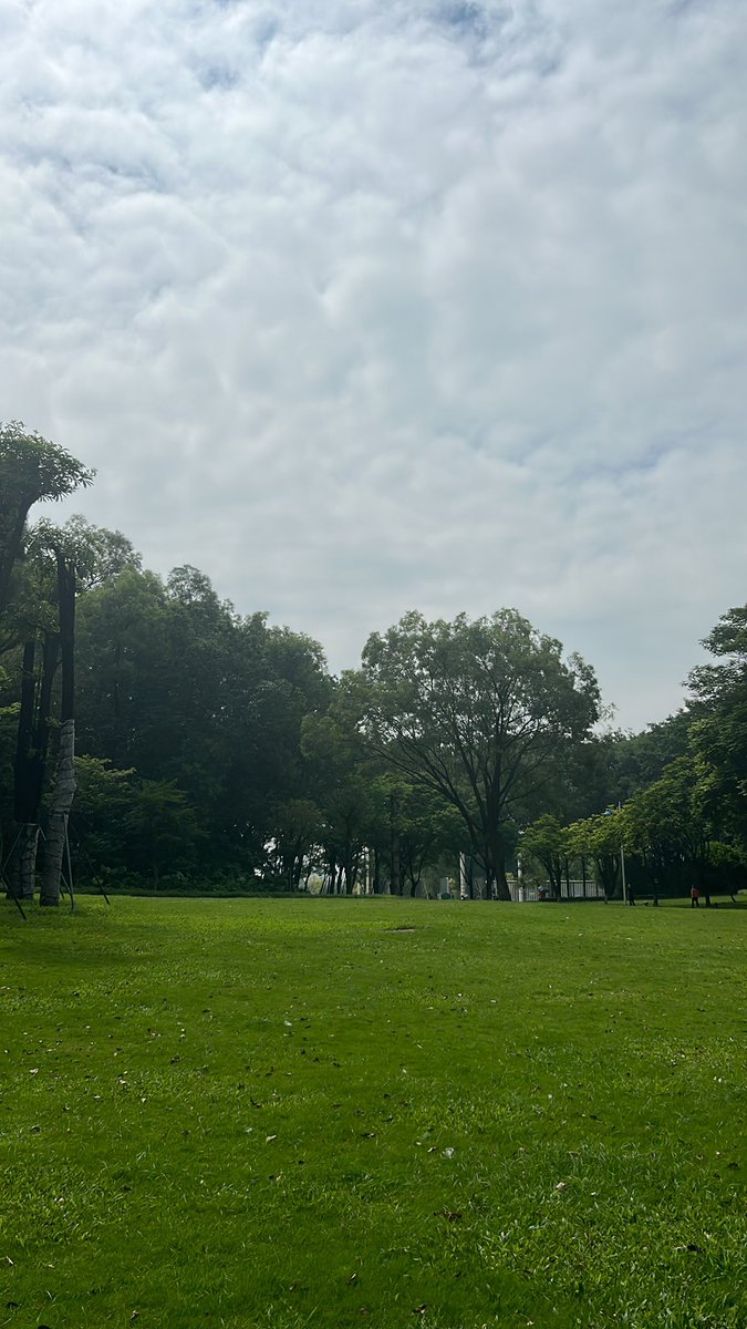 元美公园偶遇呀