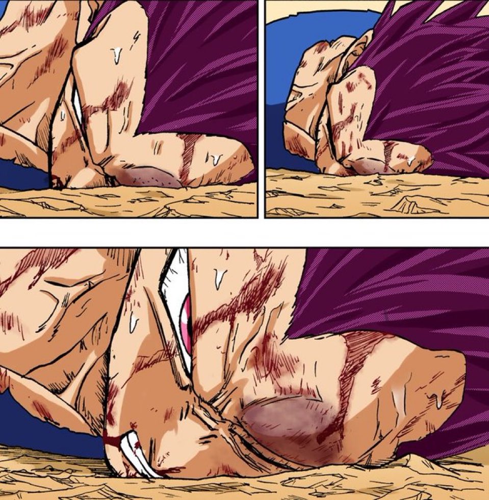 Do you really mind that Vegeta always gets beaten in DRAGON BALL and doesn't defeat any of the main villains in the Saga?