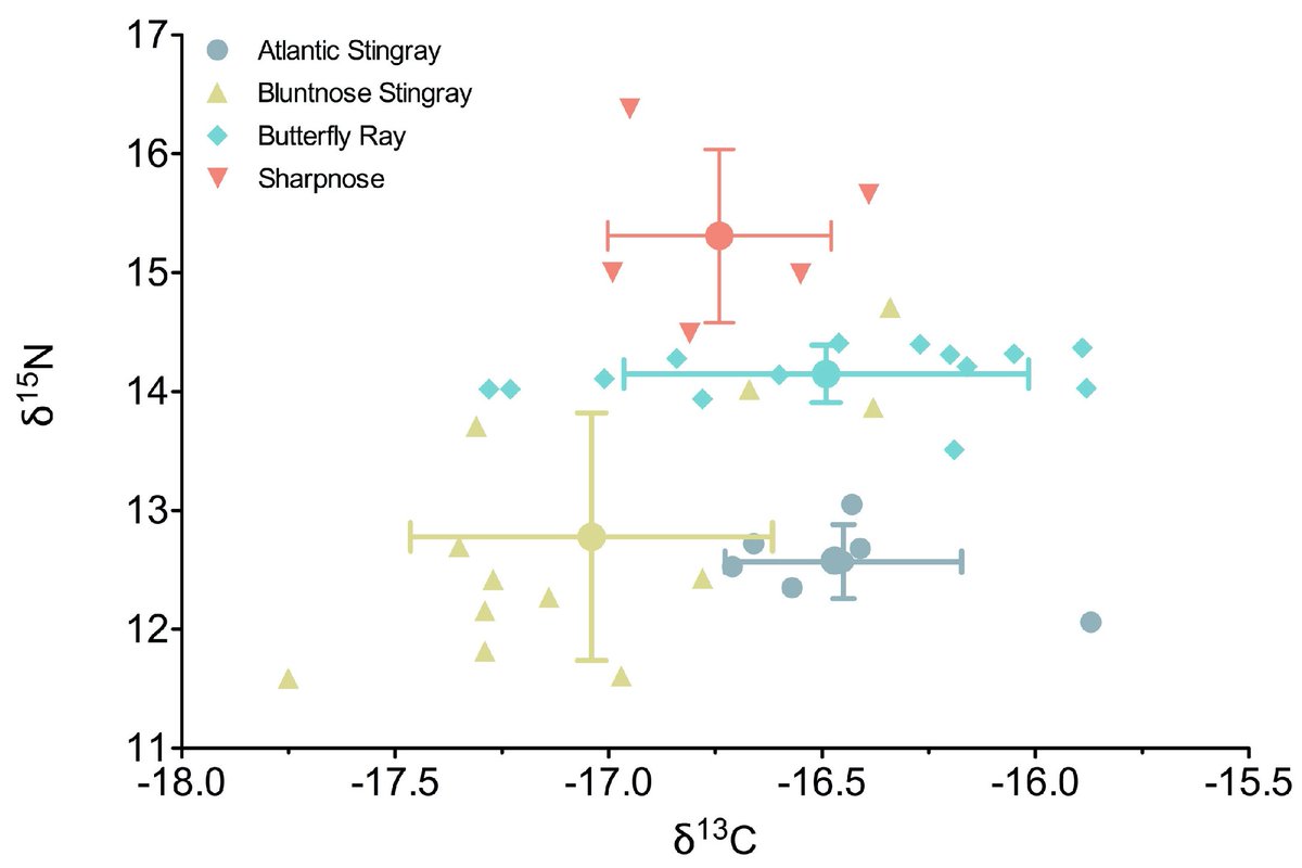 Fishes_MDPI's tweet image. 🐟#HighlyViewed

Network Analysis Reveals Species-Specific Organization of #MicrobialCommunities in Four Co-Occurring Elasmobranch Species along the Georgia Coast
👉mdpi.com/2410-3888/9/1/…

🦞#shark #stingray #ecology #networkanalysis