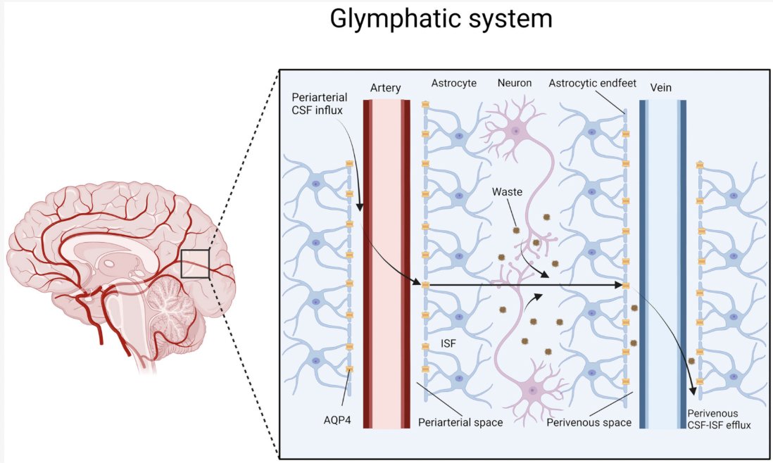 Yulia Mit tweet media