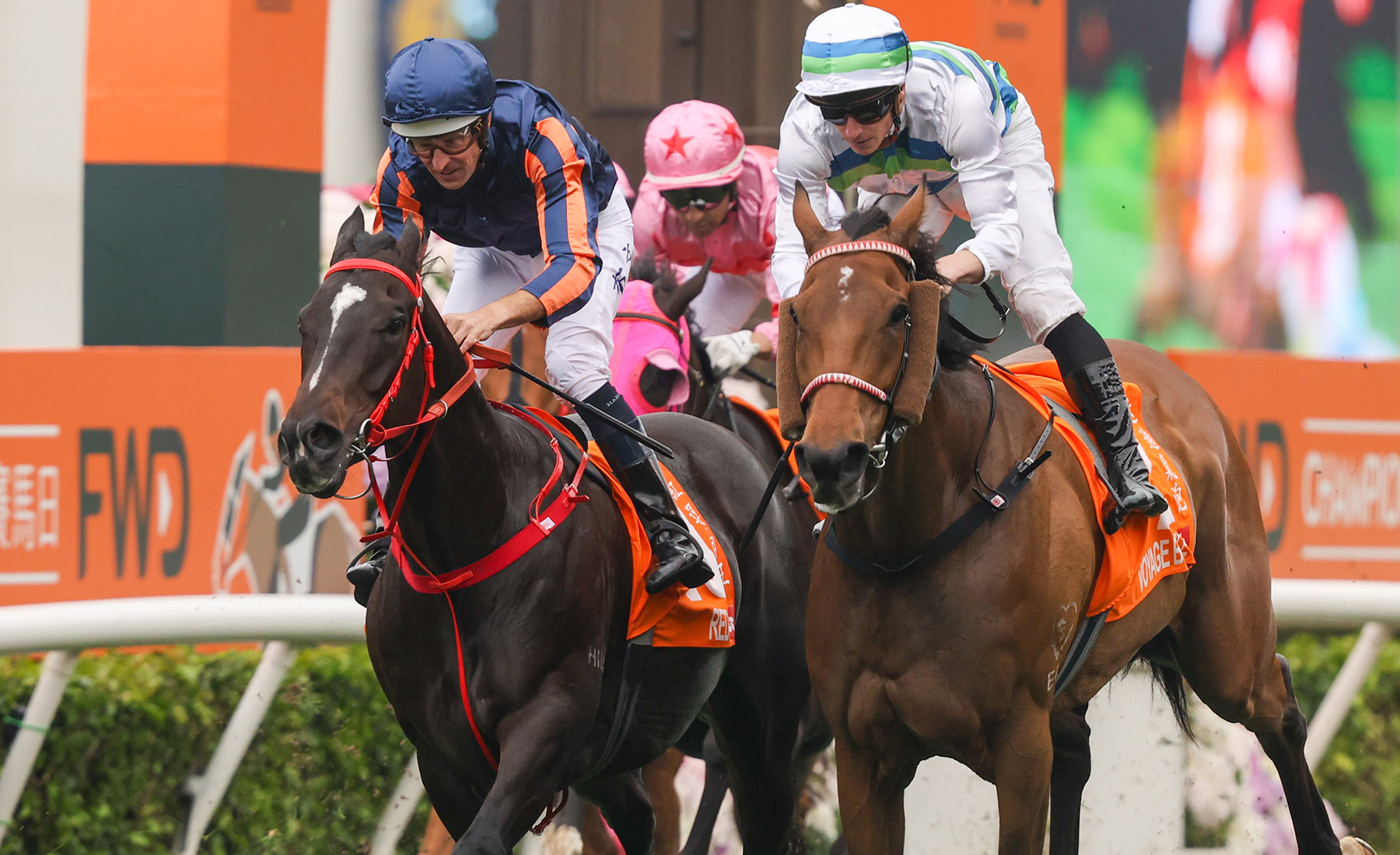 Champion Jockey Special 亮雅 Ka Ying Rising Beats Voyage Bubble, Romantic Warrior To Hong