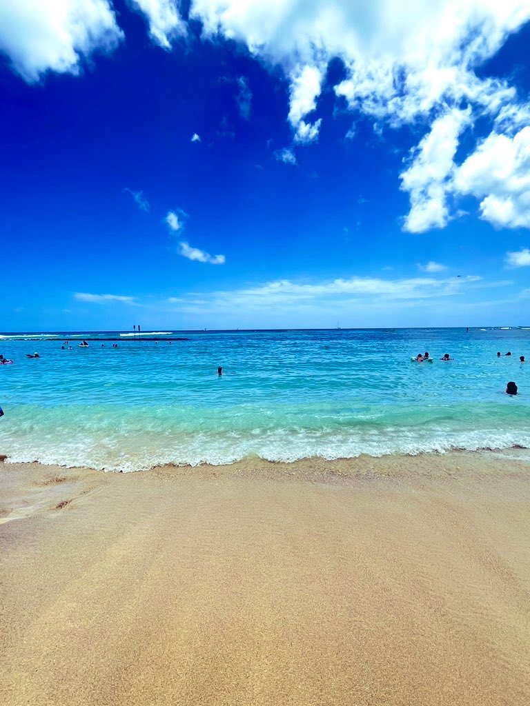 海こえて一年。

心はとても、豊かになった気がする。
英語での生活は大変なことも多くて、多すぎるが故に何が1番大変とかもないくらいなのだけれどそれでも数年前より格段に元気になった心で生きている実感があり、この生活を頑張れた自分がちょっと誇らしかったりします。

そしてゼルダ再開します🗡️