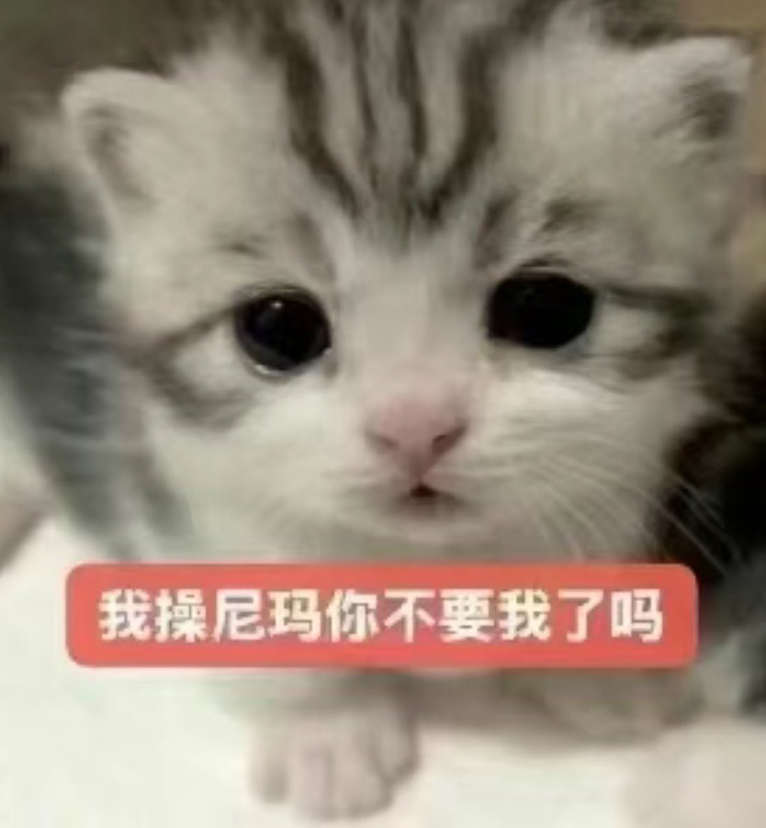 ScreamButSilent's tweet photo. 看到互关不理我但跟别人互动时的我： https://t.co/GNgtK48w3j