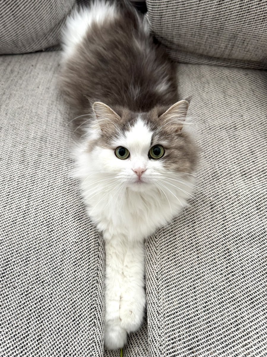 きゅっ