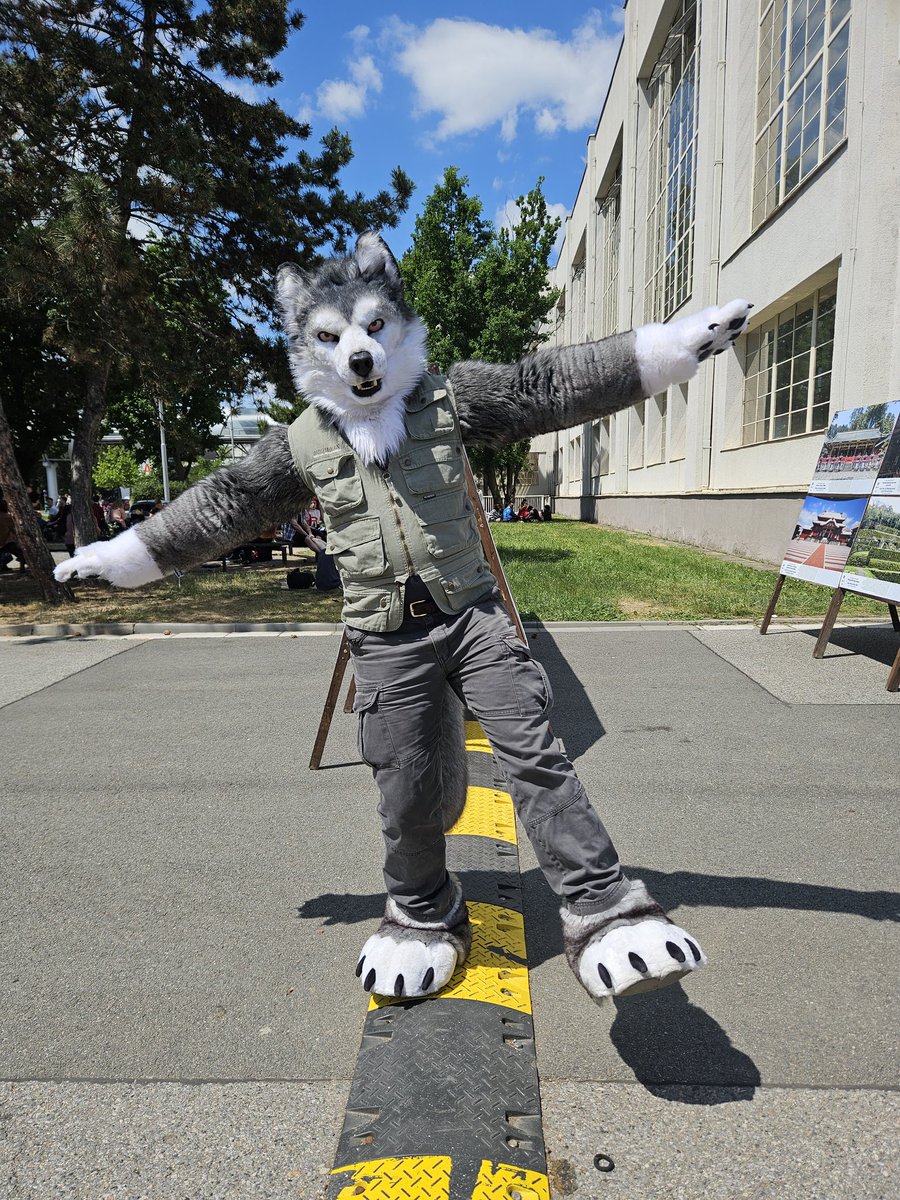 This year's <a href="/animefest/">Animefest.CZ</a> was fun, see you next year!