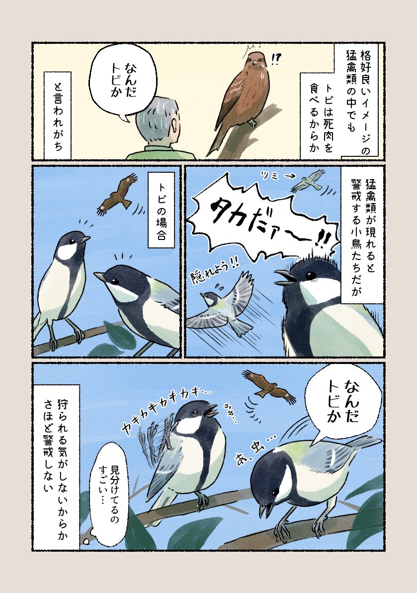 「なんだトビか」
良く見分けられるなと感心します! 