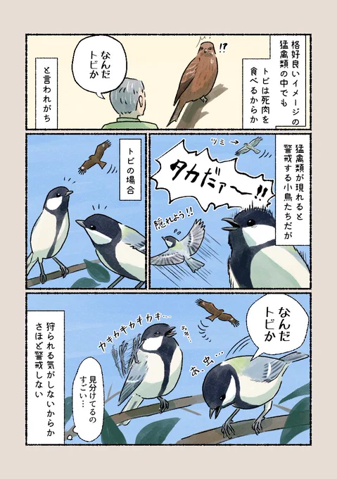 「なんだトビか」
良く見分けられるなと感心します! 