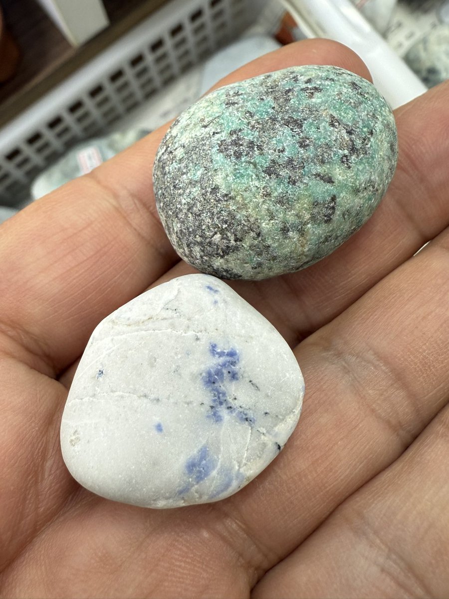 お客さんがゲット‼️その2 仲良し超ベテランさん😁😁こちらの方は綺麗