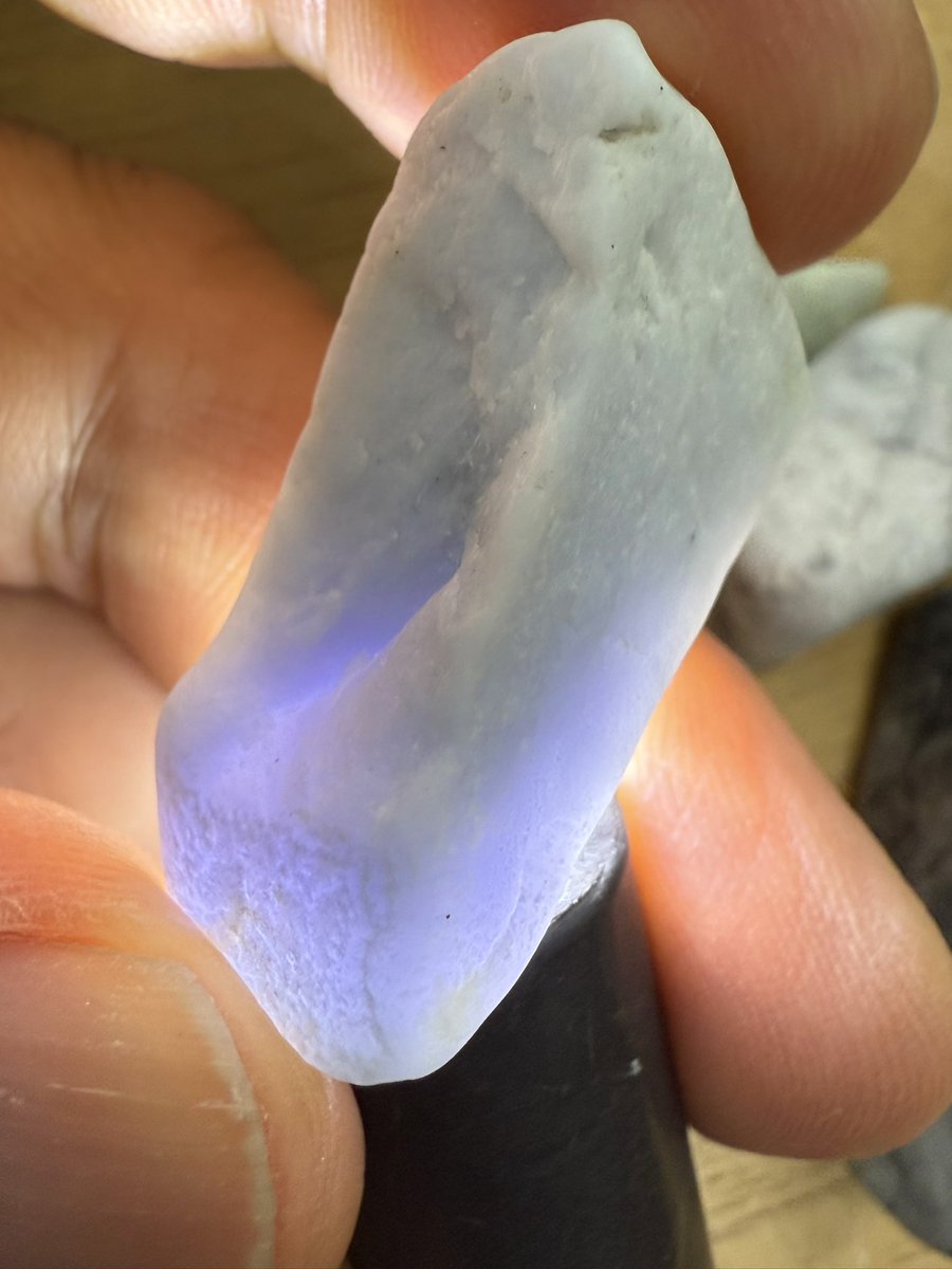 お客さんがゲット‼️その2 仲良し超ベテランさん😁😁こちらの方は綺麗