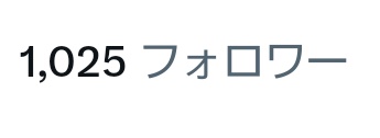 ルイアル tweet media