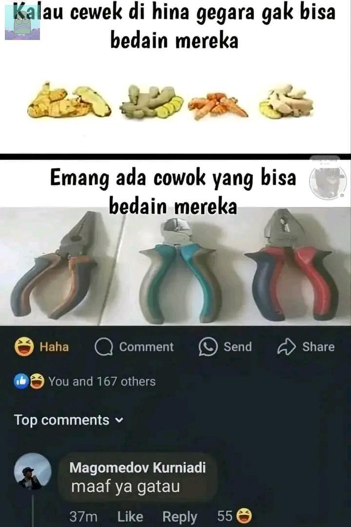 Tanyarl 💚 tweet media