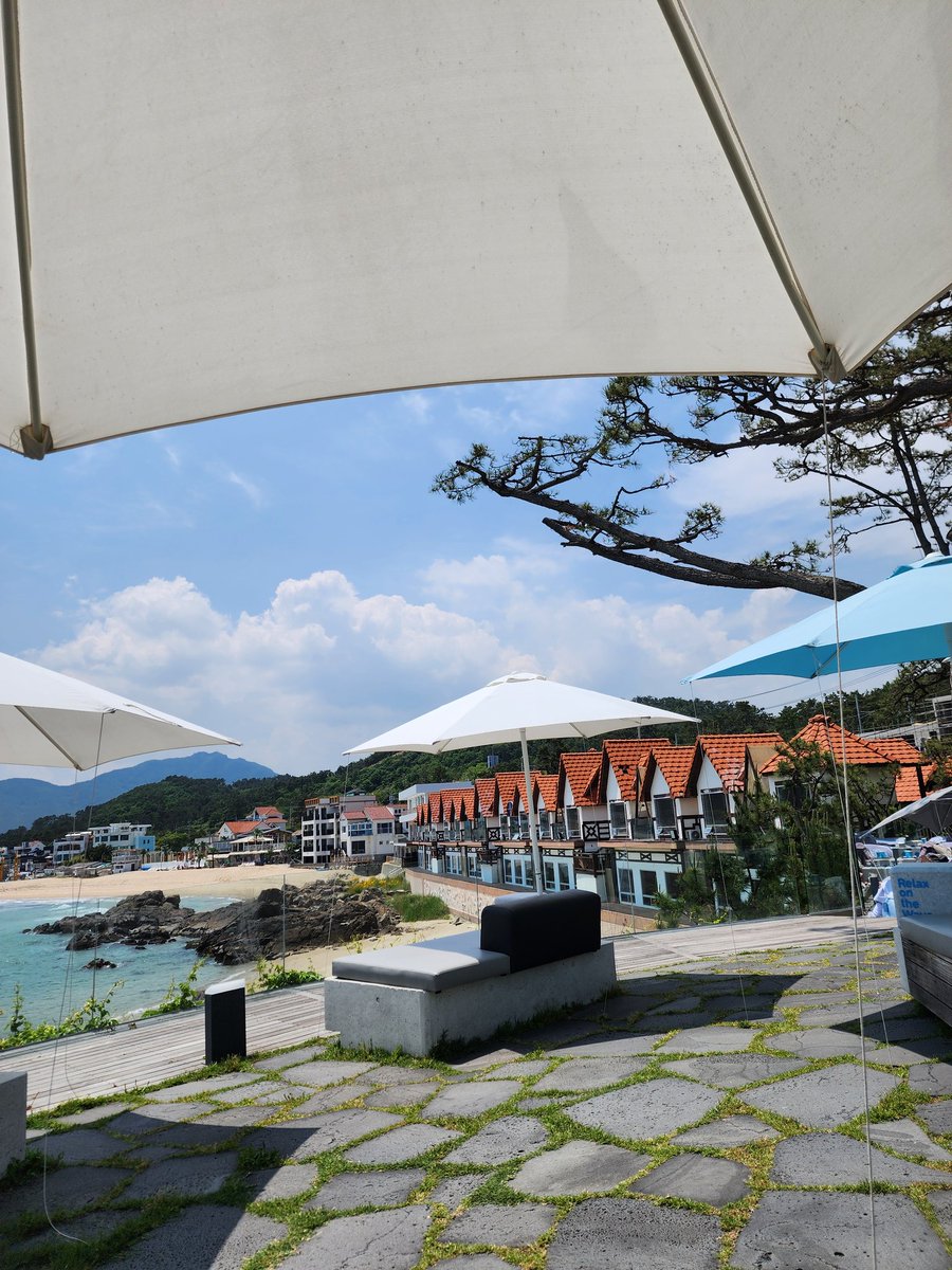 오랜만에 부산오다.
고향이 좋은 법이다.