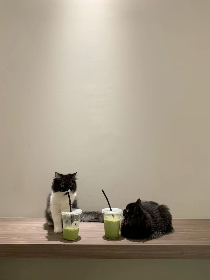 they're on a date