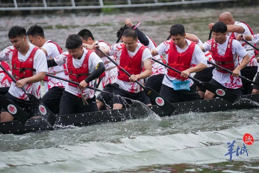 CulturalLingnan's tweet photo. City Life | #Dragonboats thundered on the #Shijing #River!🏁
Eighteen teams with 800 #rowers 🚣from #Guangzhou #Baiyun stormed the Shijing River, their #oars slicing through the #waves like blazing comets!
🌊Watch as crowds roar along the banks—Witness the awakening of a millennium-old #Dragon Spirit! #citylife