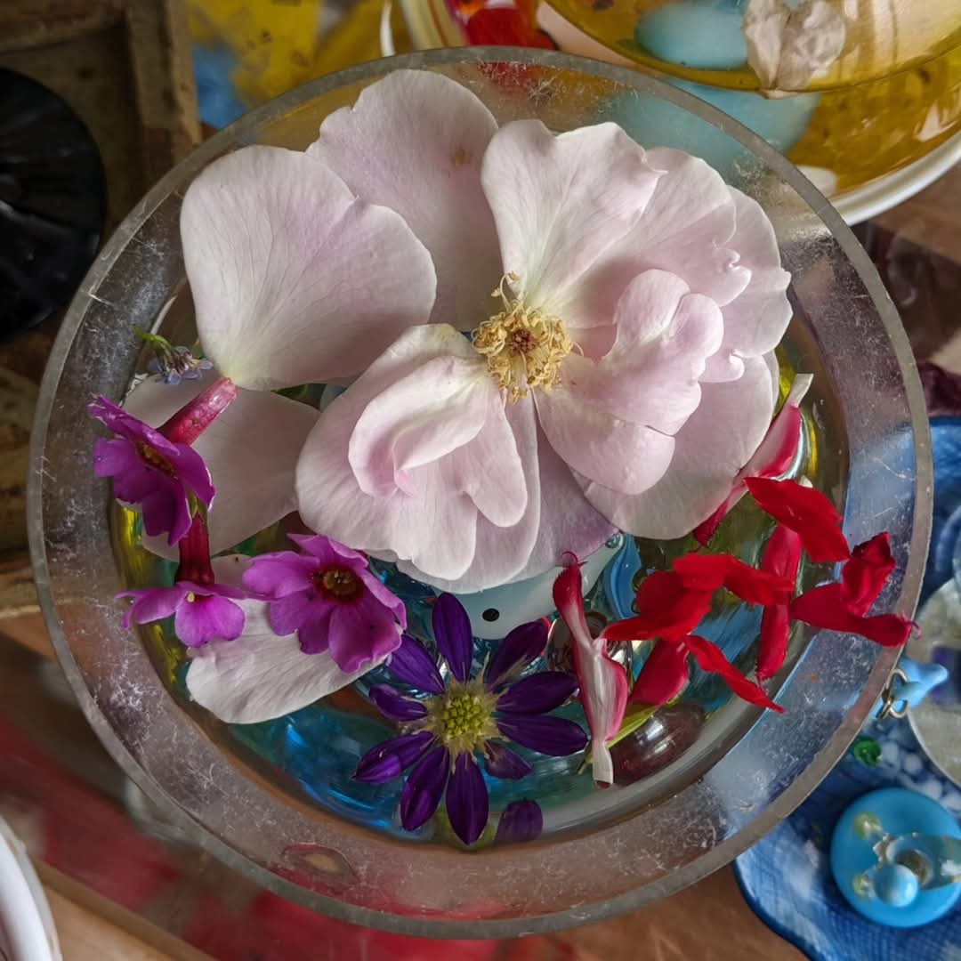 hitoshi_japan's tweet photo. 母作、今日の浮き花その1&その2です🌸
#花
#浮き花
#floatingflowers
#mothermade
#flowers
#flower https://t.co/sBSeUnzEYn