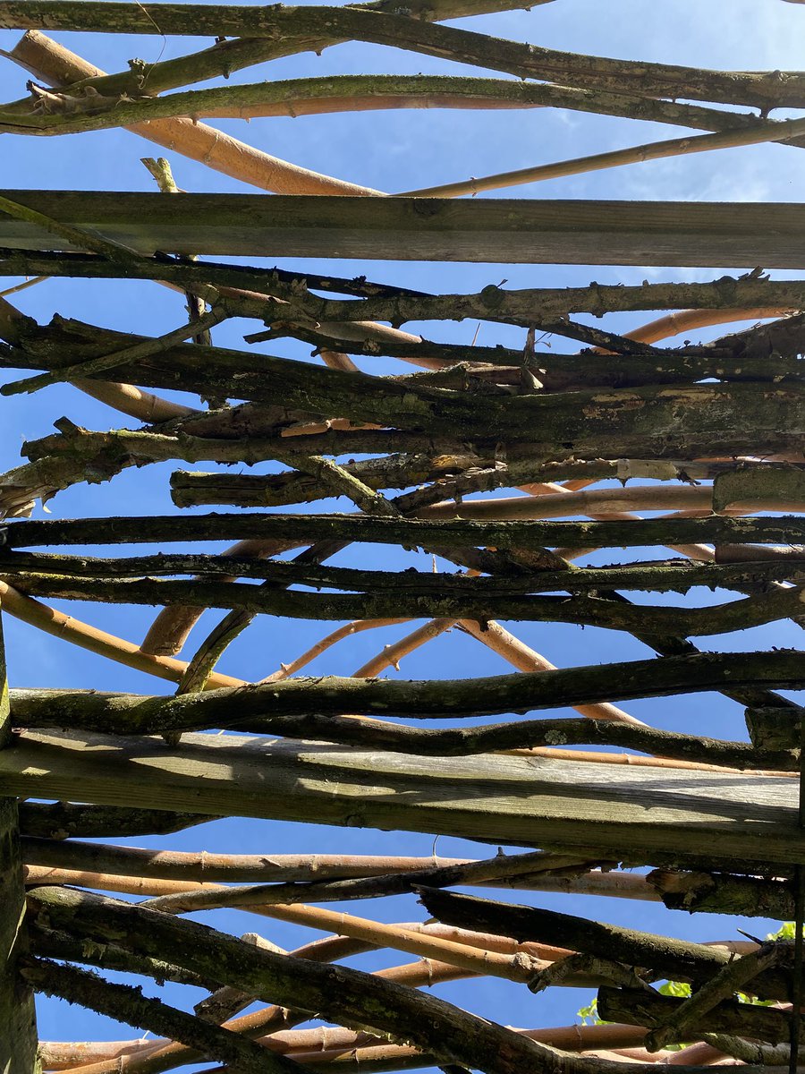 G27Marco's tweet image. Un coin de ciel bleu sur la #terrasse où s’entrecroisent les vieux et jeunes branchages qui luttent pour nous offrir un peu d’ombre … #jardin #diy