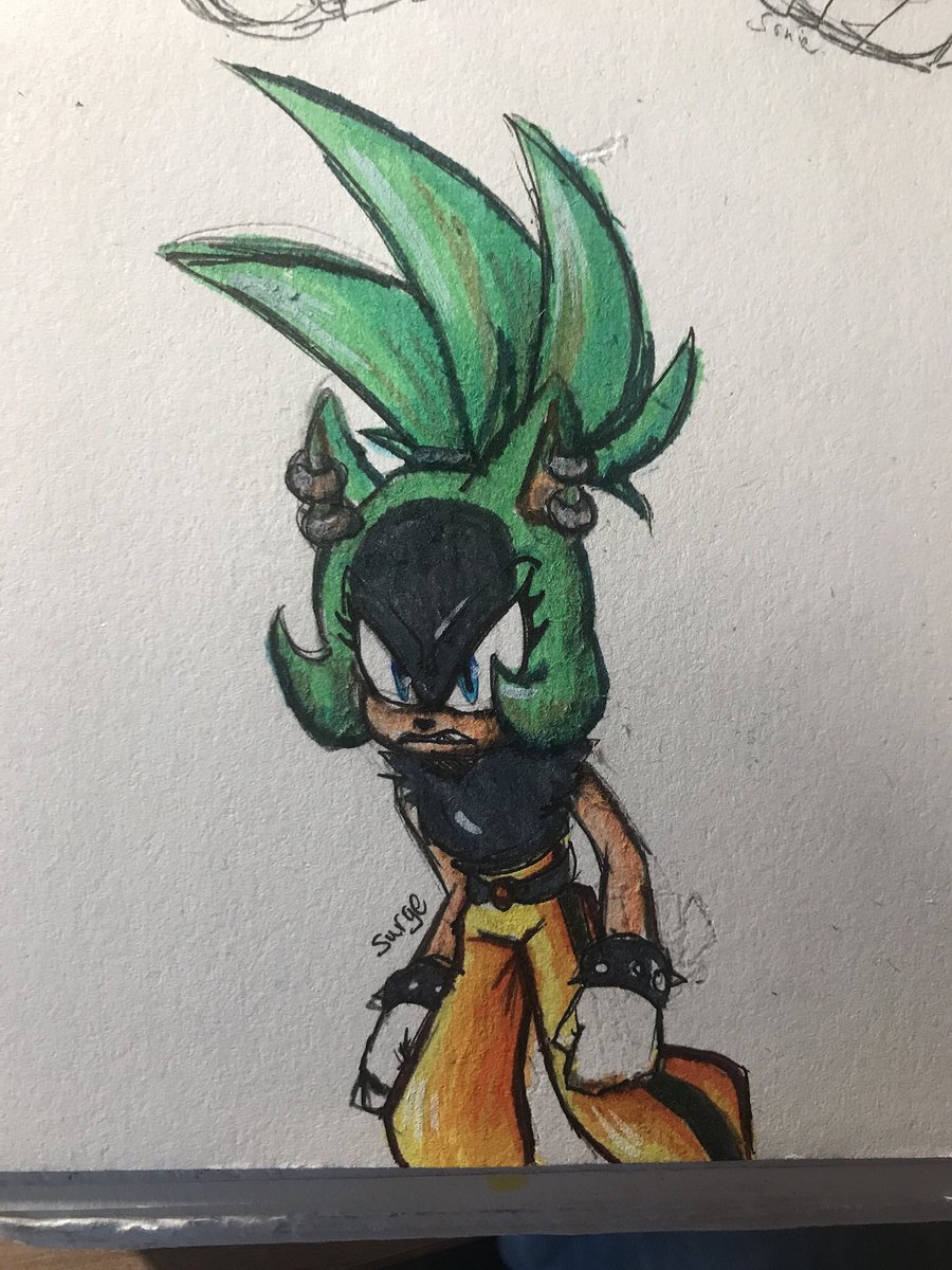 Charlie149297's tweet image. I’ve been gone I’m rewriting my acc into Sonic