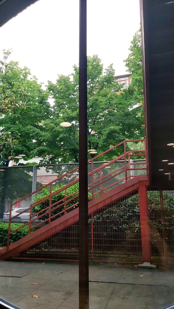 Ercüment (@ercument_lacin) on Twitter photo 