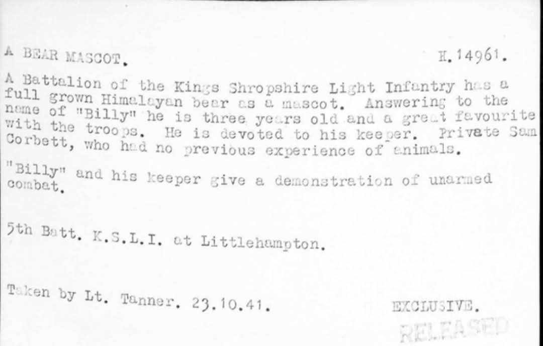 Thorley_forDad's tweet image. Bit of fun history 😆
Billy, a full grown Himalayan bear, served with the 5th battalion, Kings Shropshire light infantry during WW2 on home defence duty. Seen here in 1941.
#ksli #WW2 #mascot