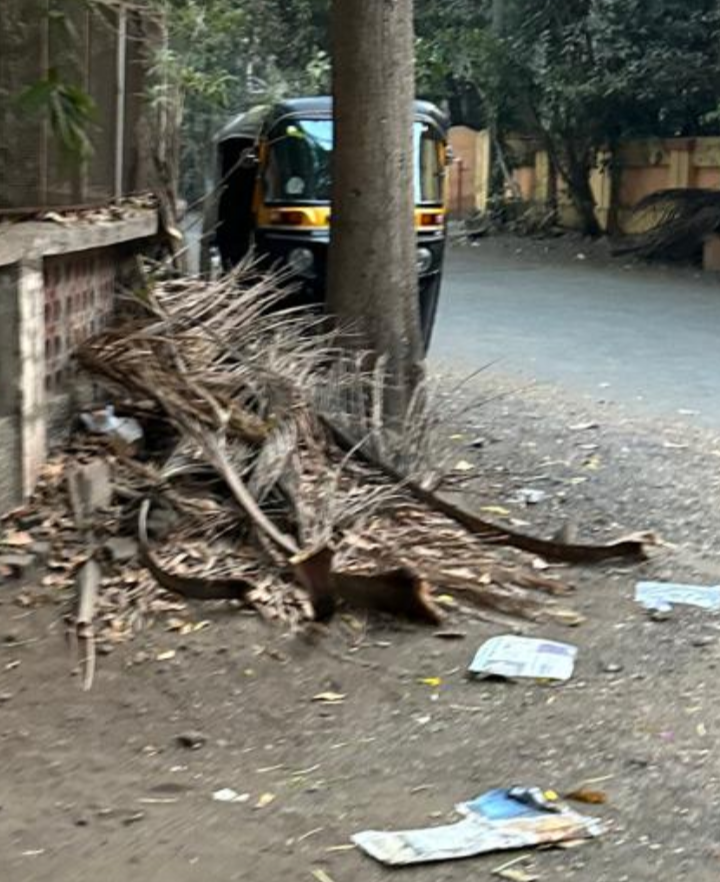 SentinelWachter's tweet photo. complaints made to @mybmc @mybmcInfra since more than 3 months regards these #garden waste dumped in #sector6 #cheddanagar #chembur They haven't cleared it yet 26th May 2025 Flooding would definitely happen @mybmchealth @mybmcHealthDept @CMOMaharashtra @mieknathshinde https://t.co/zzQBZ1mnH7
