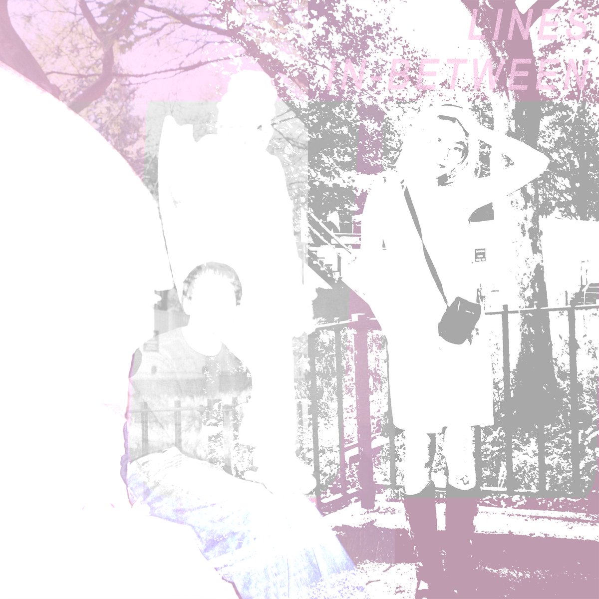 Lines In-between tweet media