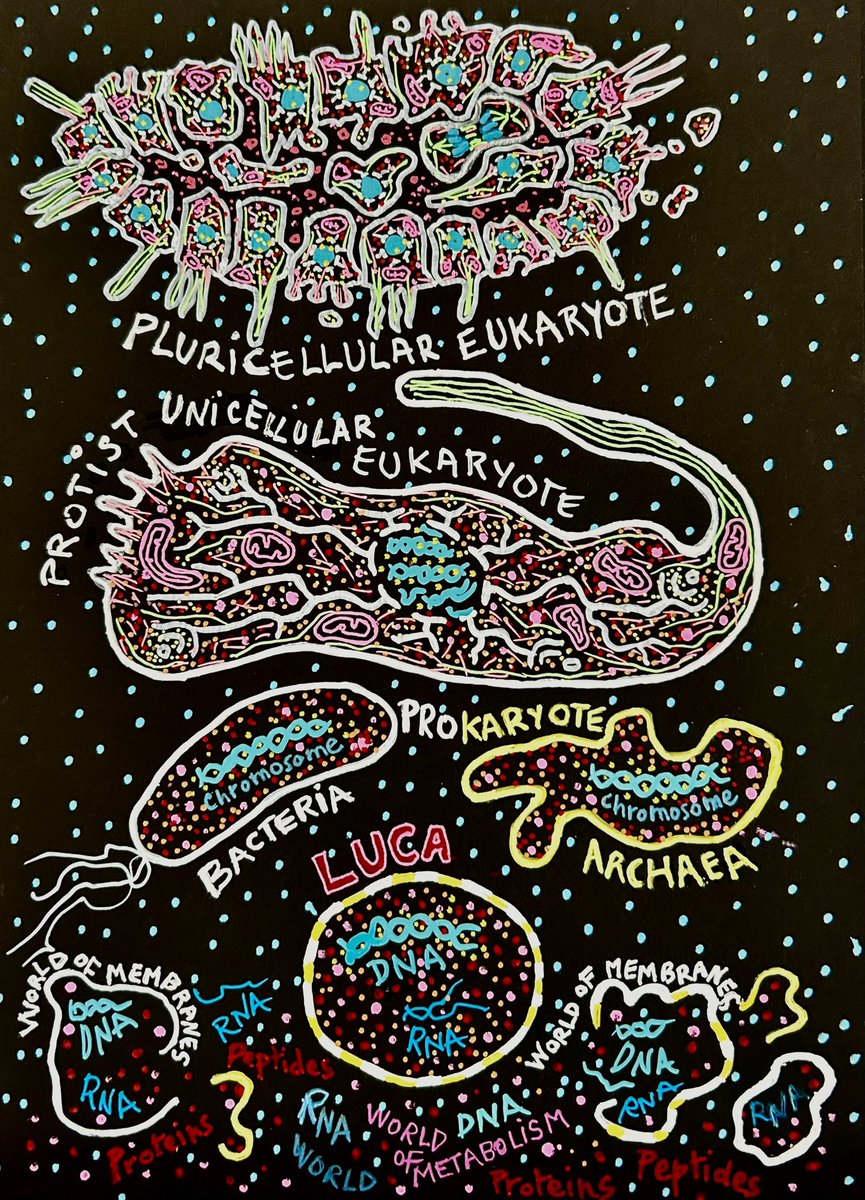 ChristianSardet (@christiansardet) on Twitter photo Getting there..Translation is almost done and I am working on redoing calligramme drawings with english words. À long process for publication in the fall #cells #book #artandscience <a href="/ChristianSardet/">ChristianSardet</a> Getting there..Translation is almost done and I am working on redoing calligramme drawings with english words. À long process for publication in the fall #cells #book #artandscience <a href="/ChristianSardet/">ChristianSardet</a>