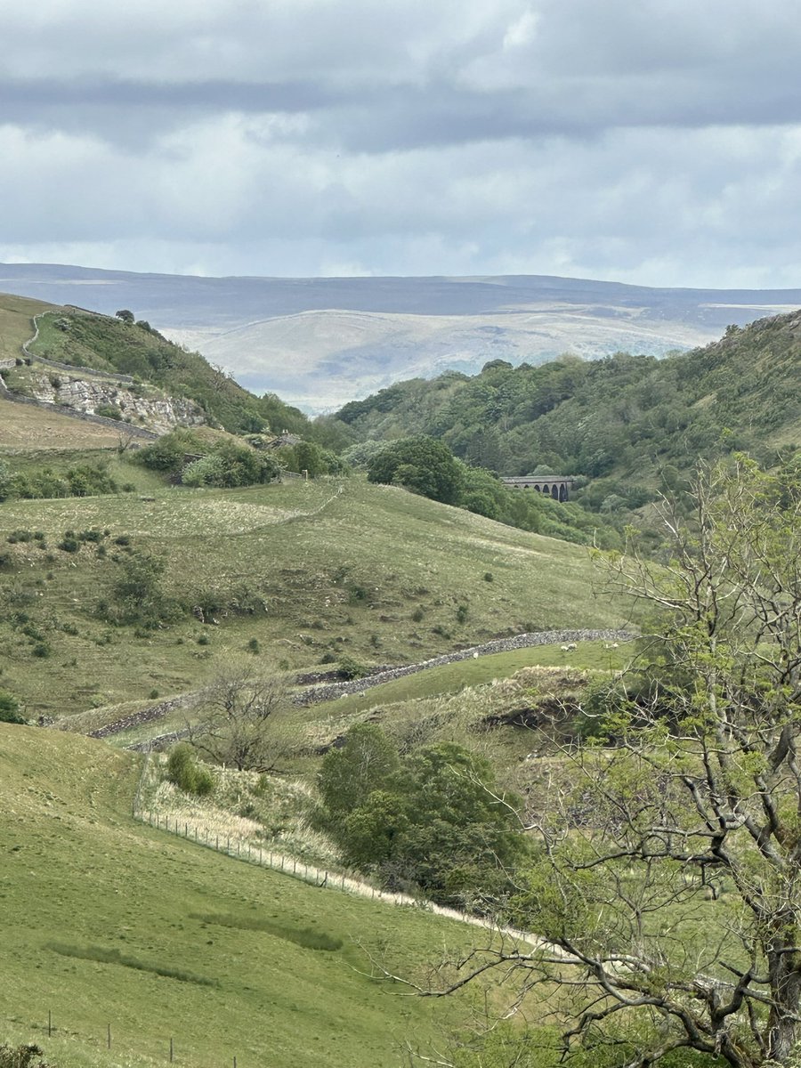 AdventuringJoW's tweet image. Great walking at Smardale and whoop whoop 🙌 many multiple of swifts overhead zipping around (sorry for poor footage)
