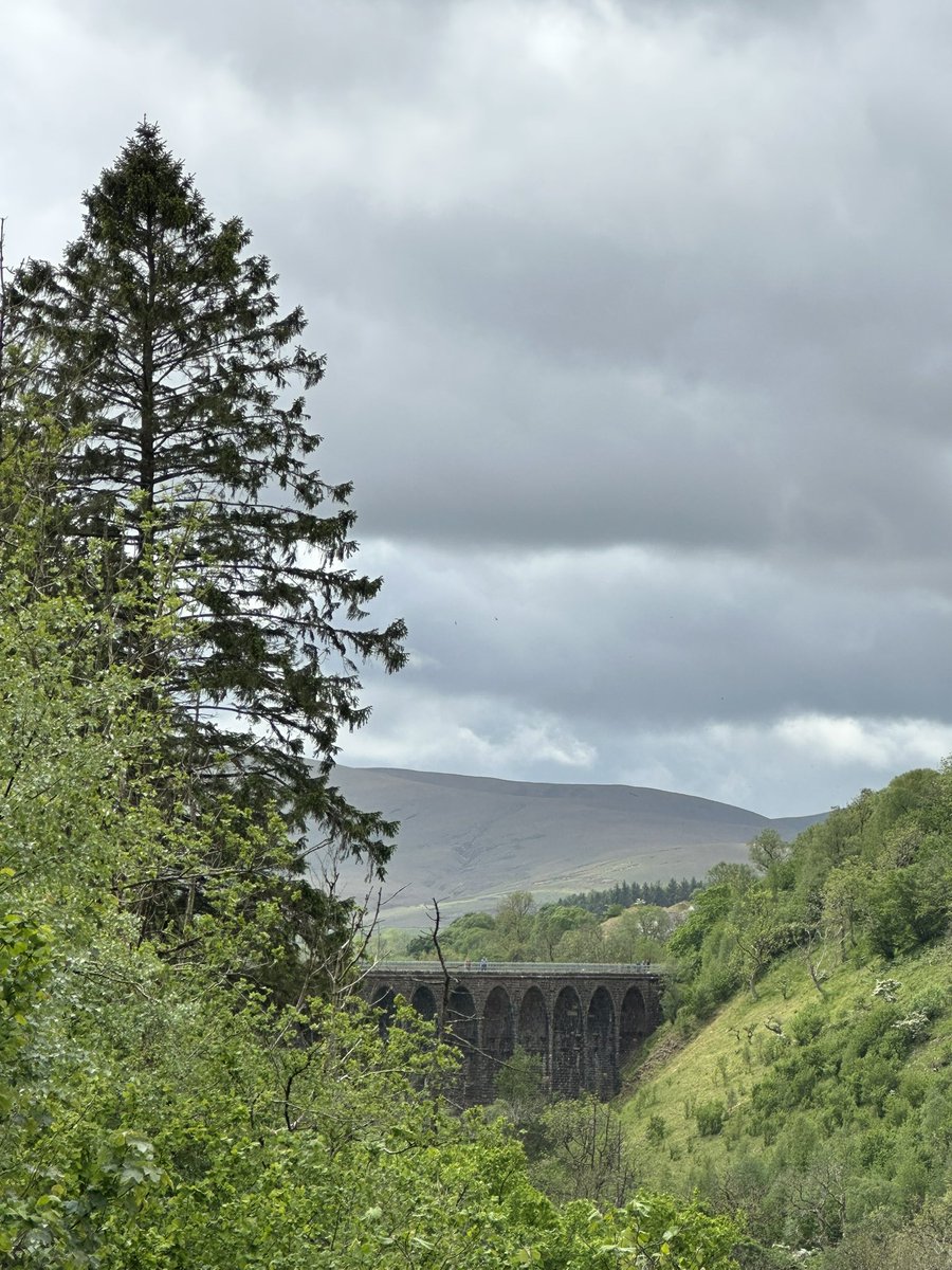 AdventuringJoW's tweet image. Great walking at Smardale and whoop whoop 🙌 many multiple of swifts overhead zipping around (sorry for poor footage)