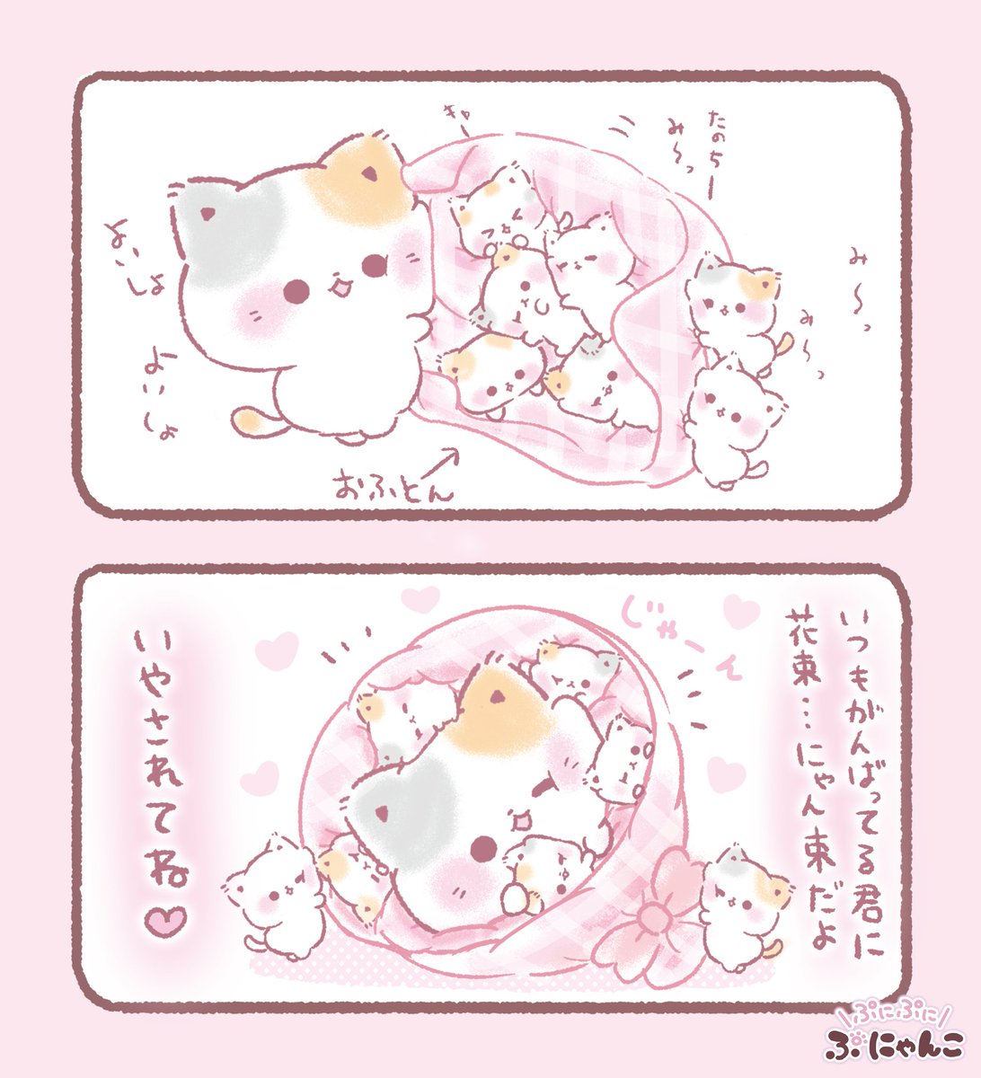 にゃんこ427様ご専用です♡ Post by にゃんこ(固定読んでください) on X: とってもいい