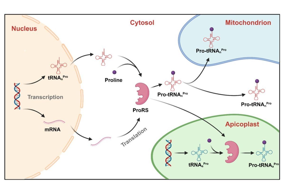 A Journal to NCU-Research tweet media