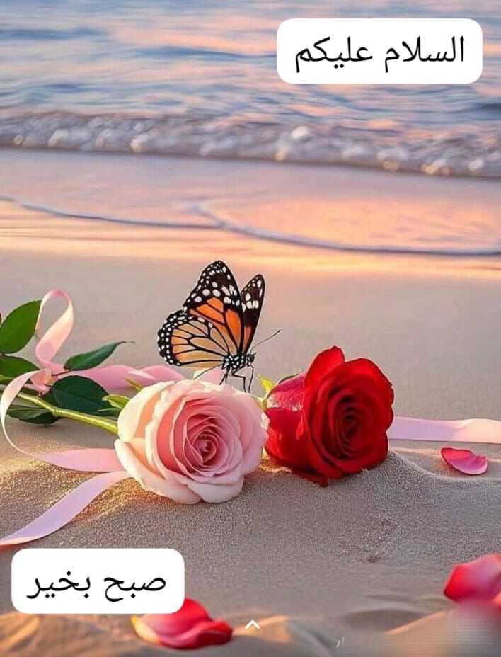 Naeem Shahzad awan (@naeemsh51915185) on Twitter photo 