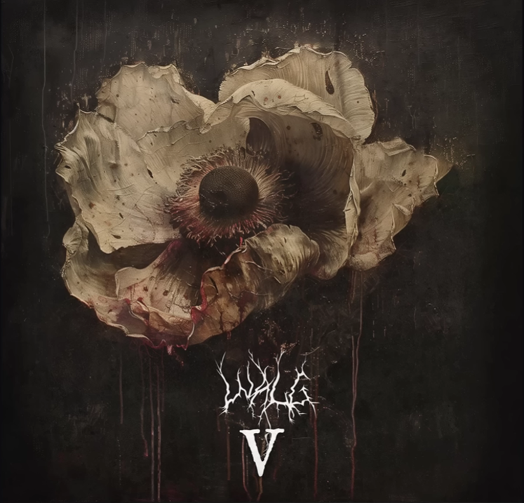 aarorauna's tweet photo. #Walg #Nedherlands #melodic #Blackmetal https://t.co/bgQkC7wdOW
