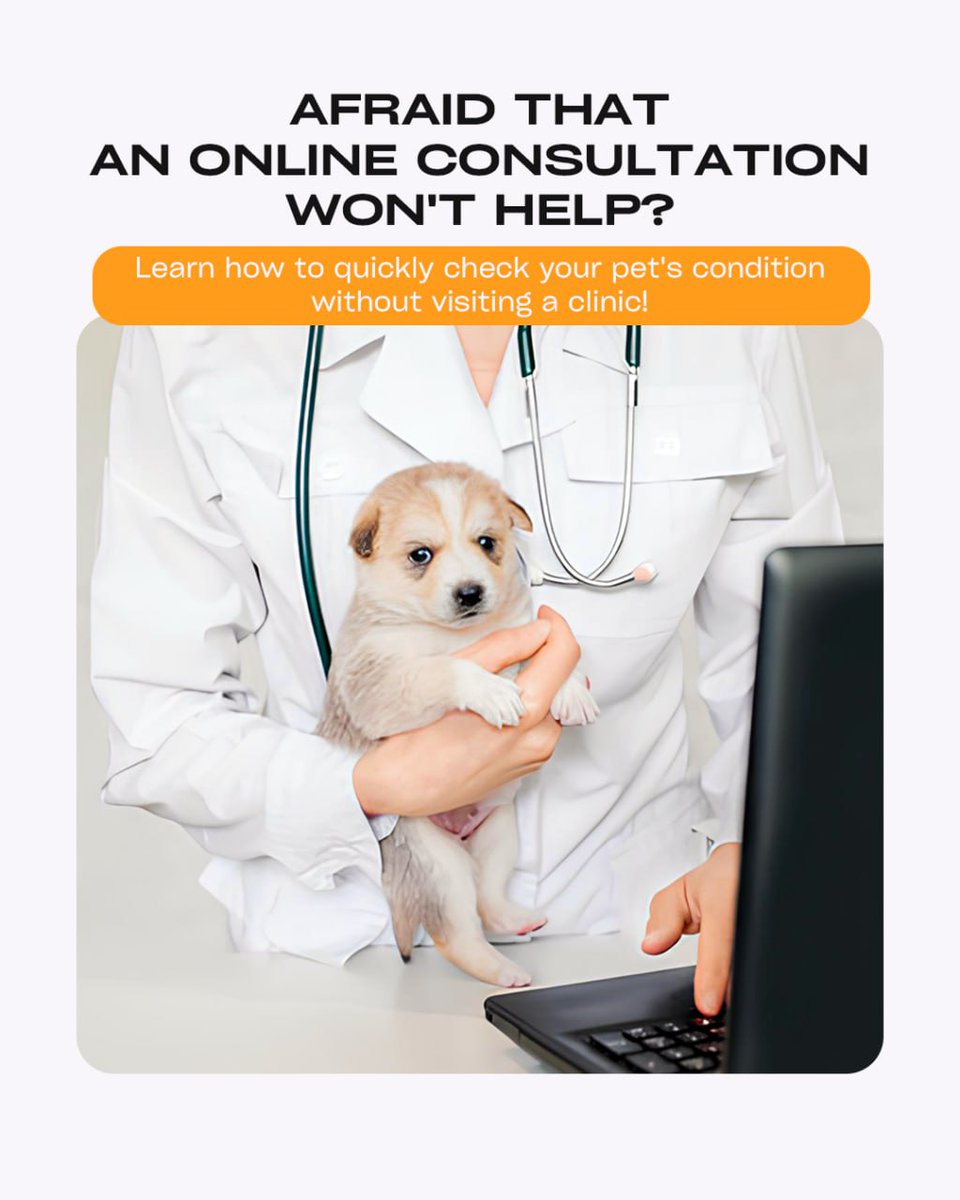 TextTeo_AI's tweet photo. Think online vet consults don’t work? Think again. Most pet issues don’t need a physical exam.
🐾 Weird pet behavior at midnight? Don’t panic or Google for hours.
With TextTeo, a vet helps fast — 70% of cases solved online.
📲 Help is just a click away. https://t.co/KxIfPsvrd8