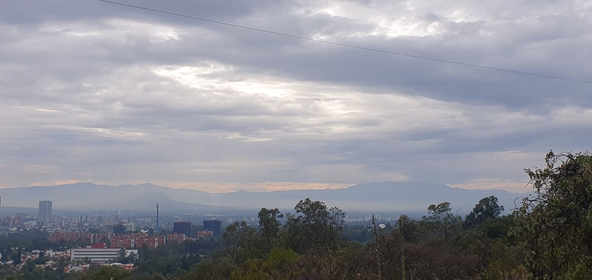 Chazaam3's tweet photo. Seguimos acumulando km al corazón y al Alma con él favor de DIOS y mi Padre desdé él cielo 🕊☝🏼🙏🏼
Objetivo ➡️🐢🏃🏻‍♂️🦖🏃🏻🦖 #MaratonCDMXTelcel2025 🇲🇽
#ParqueNacionalBosquedeTlalpancdmx 🇲🇽  Millones de bendiciones para tod@s ustedes de corazón 🙏🏼🕊☝🏼 https://t.co/QmAjIbBFmQ