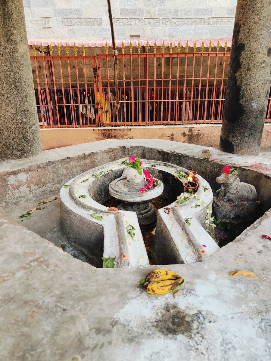 ArkeshGowda19's tweet photo. #Omnamahshivaya 🙏
#Mondaymorning https://t.co/S9h1c0UUjD