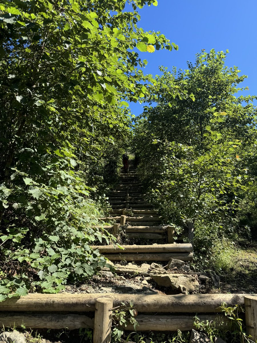 おかげさまで絶賛筋肉痛