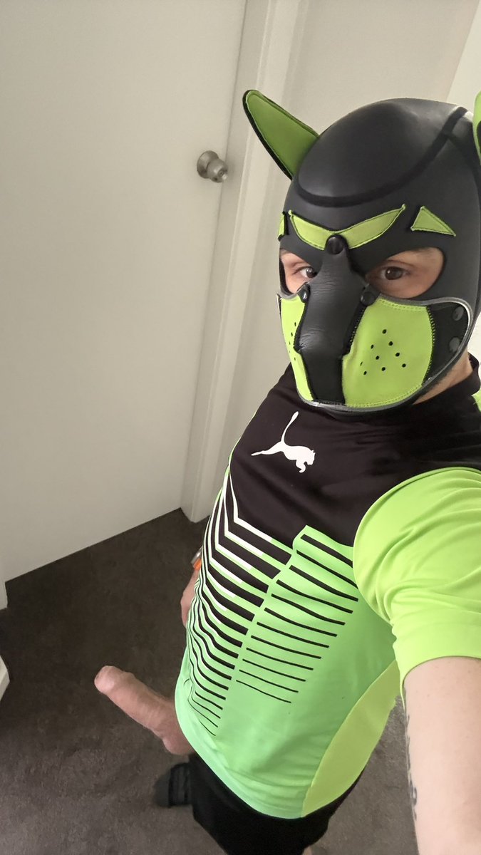 MaximoPup's tweet photo. Ready to pump iron but ended up pumping my bone instead… Gym can wait. This Pup needs a different kind of workout—preferably with someone behind him. 🐶🍑💚
#PupPlay #PupGear #KinkTwitter #HandlerWanted #TopWanted #Chudai https://t.co/zAjD8ExyUk