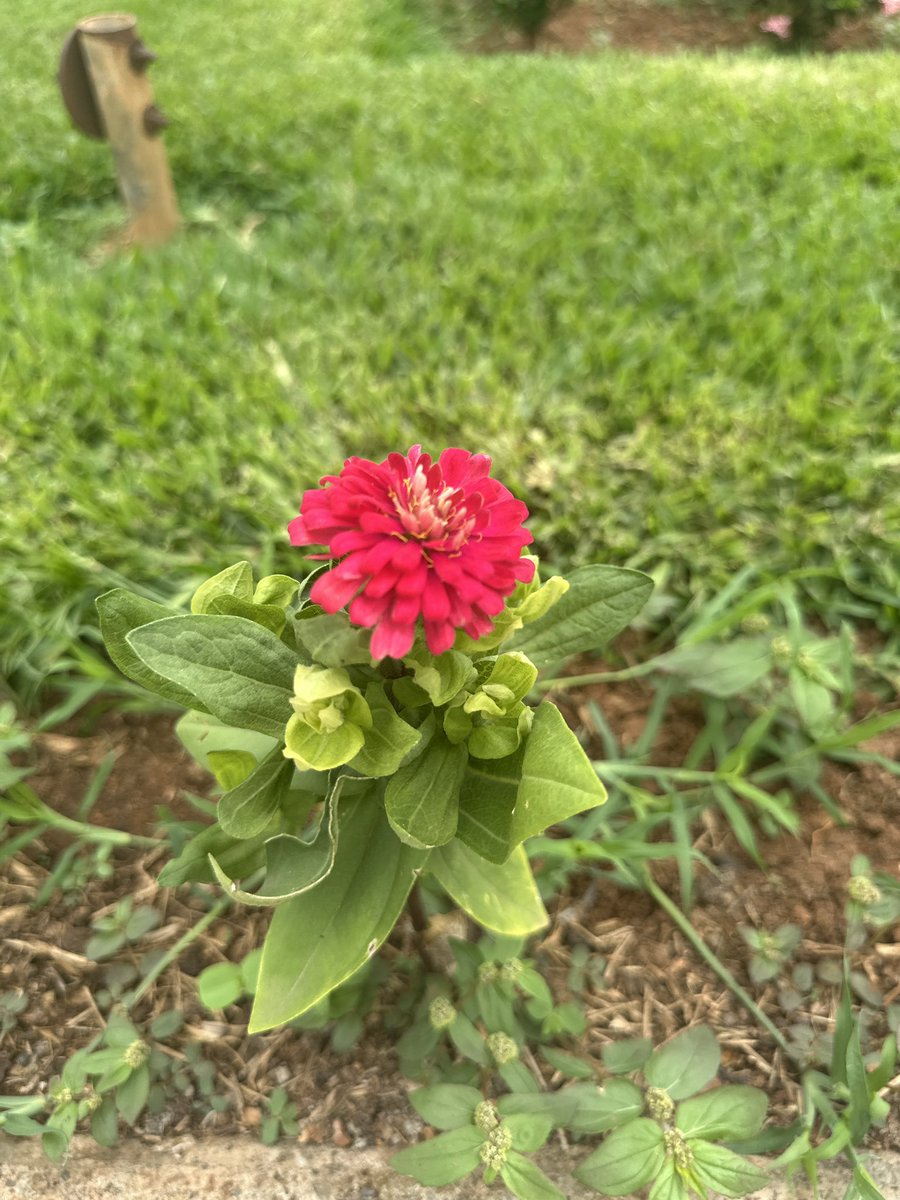 satty❤️❤️ tweet media