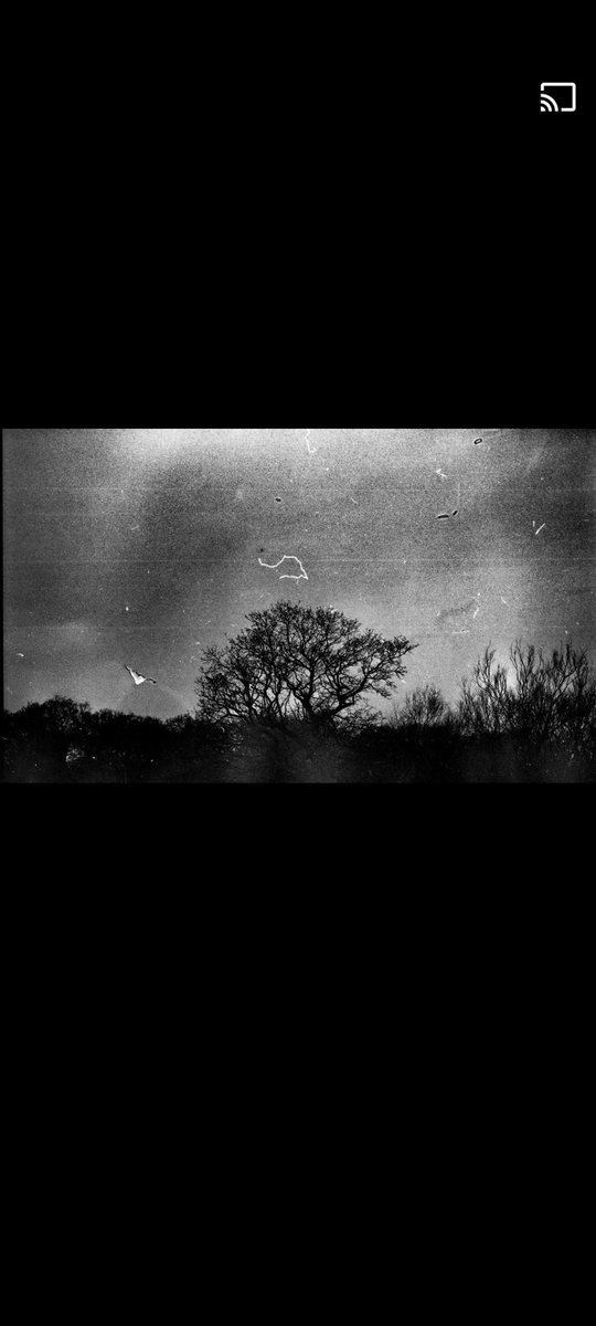 lostart0503's tweet photo. I never asked for this I didn't ask to be here, it's ethically wrong to have children when you'll expose them to nothing but pain and torment 

#photography #art #MentalHealth #depression https://t.co/S5bMazpv40