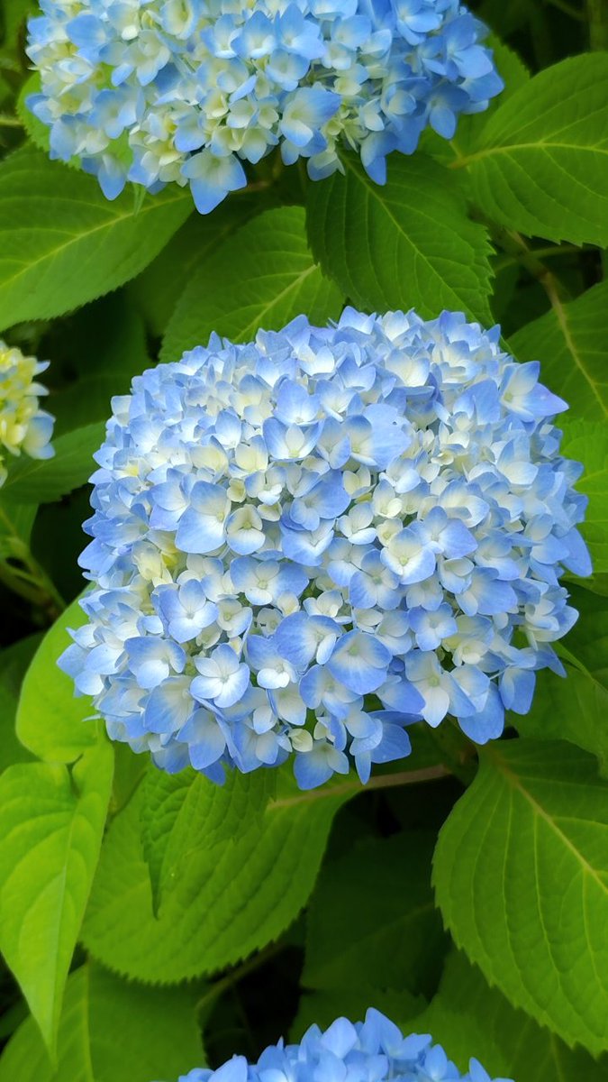 今週も宜しくお願いします🙇