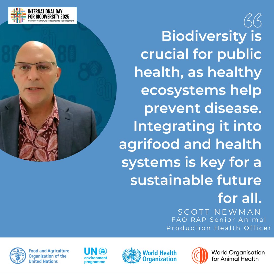 FAOAsiaPacific's tweet photo. 🌏🌿Biodiversity is our first line of defence against disease and key to food security.
On #BiodiversityDay, we reaffirm: protecting nature = protecting health.
From food to forests, #OneHealth is essential for people &amp; planet.
🔗 https://t.co/Ib0BNdFliV
#OneHealthAsiaPacific https://t.co/4pyqbFunWR