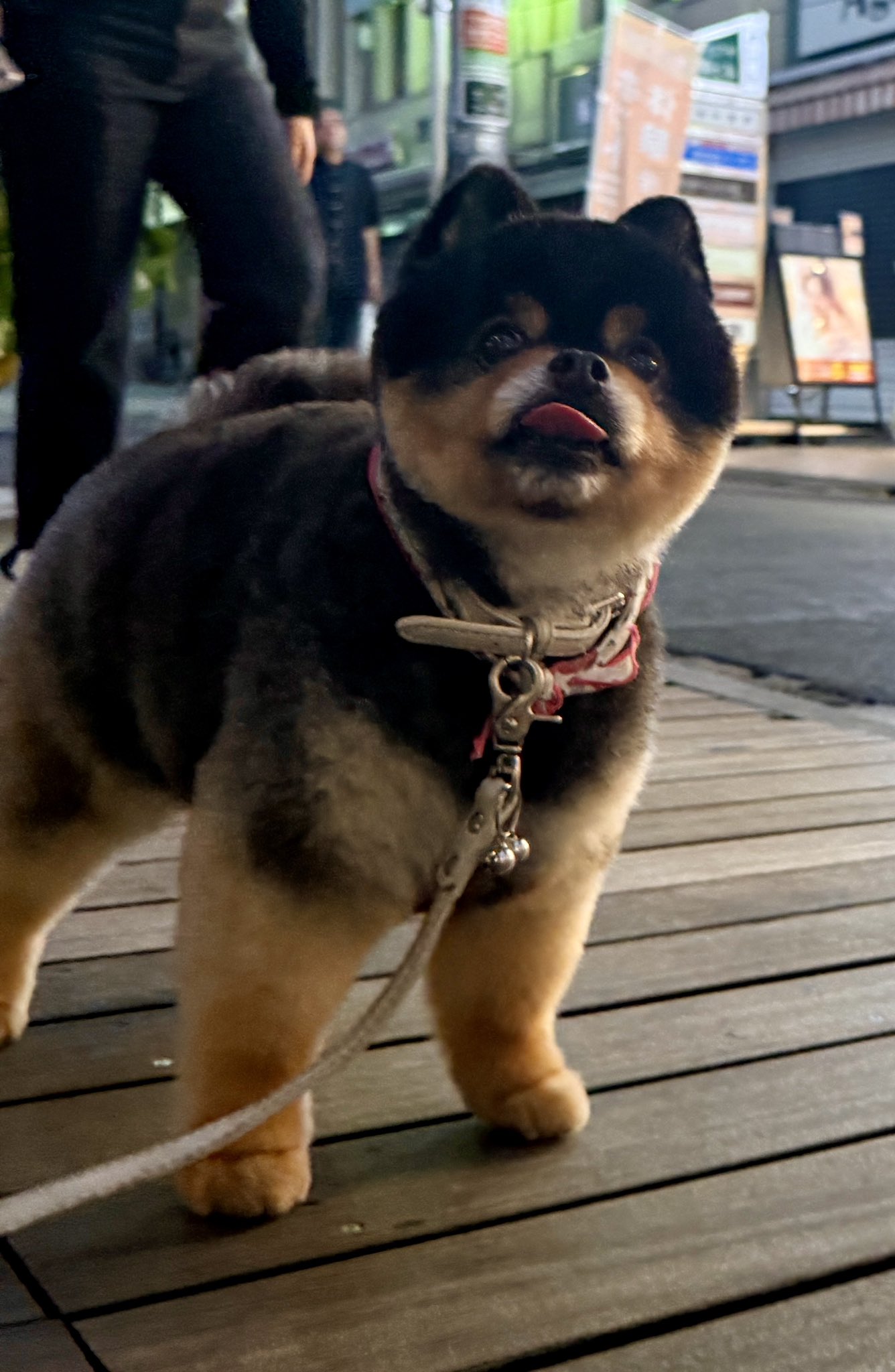 たろ犬さん専用ページ 色っぽかっ