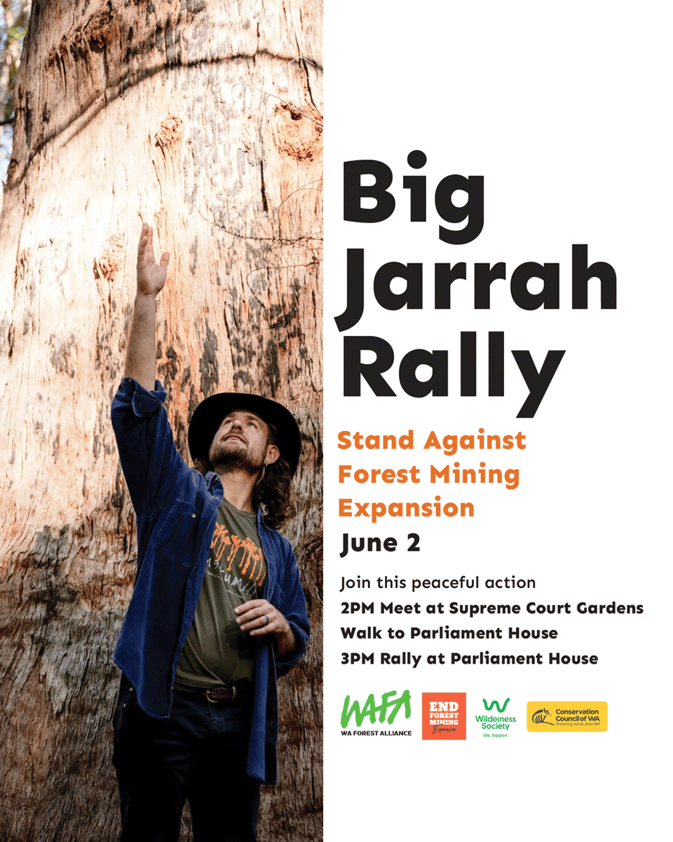 Take a stand this WA Day (June 2) for Western Australians’ rights to a healthy environment and clean drinking water and for beautiful, irreplaceable Jarrah forests.  More info&gt;&gt;wafa.org.au/get-involved/b…